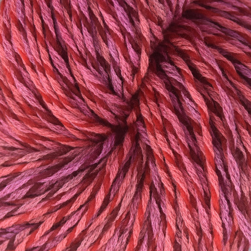 Brown Sheep Synchrony DK in Concert - a variegated red and pink colorway