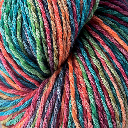Brown Sheep Synchrony DK in Picnic - a variegated green, blue, orange, and red colorway