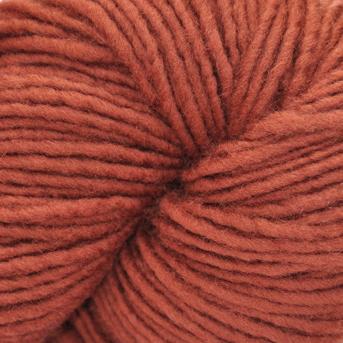 Brown Sheep Top of the Lamb Worsted in Cinnamon - a faded orange colorway