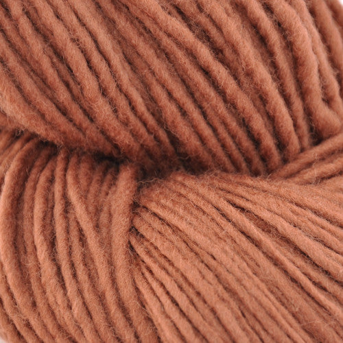 Brown Sheep Top of the Lamb Worsted in Earth - a reddish tan colorway