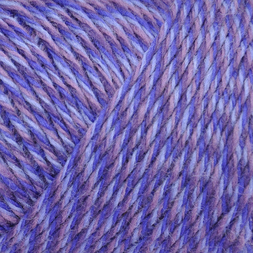Brown Sheep Wildfoote Sock in Purple Splendor - a variegated colorway in purples and blues