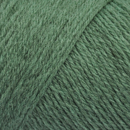 Brown Sheep Wildfoote Sock in Emerald Isle - a faded green colorway
