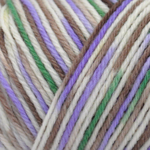 Brown Sheep Wildfoote Sock in Lilac Desert - a variegated white, brown, green and lilac colorway