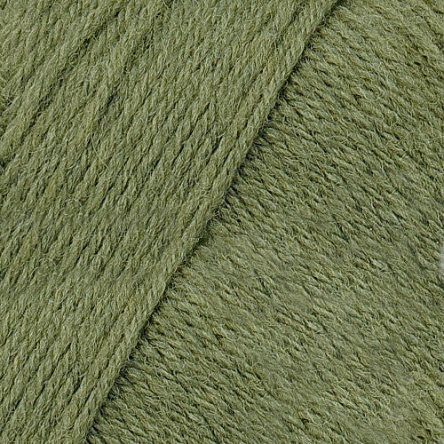 Brown Sheep Wildfoote Sock in Saguaro Cactus - an olive green colorway