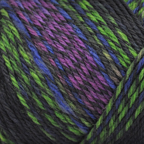 Wildfoote Sock in Scottish Lavender Fields - a variegated black, blue, purple, and green colorway
