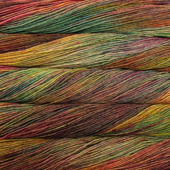 Malabrigo Rios in Diana - a variegated yellow, green, red and purple colorway