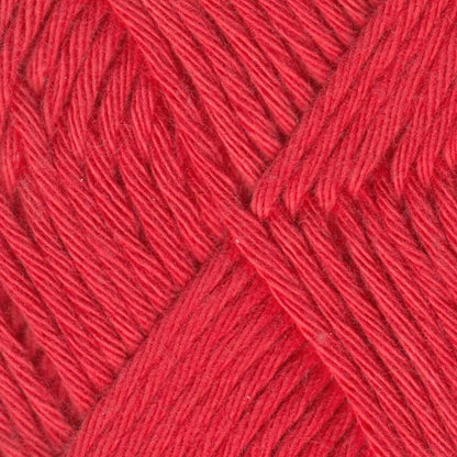 Queensland Coastal Cotton Fine - Paradise Fibers
