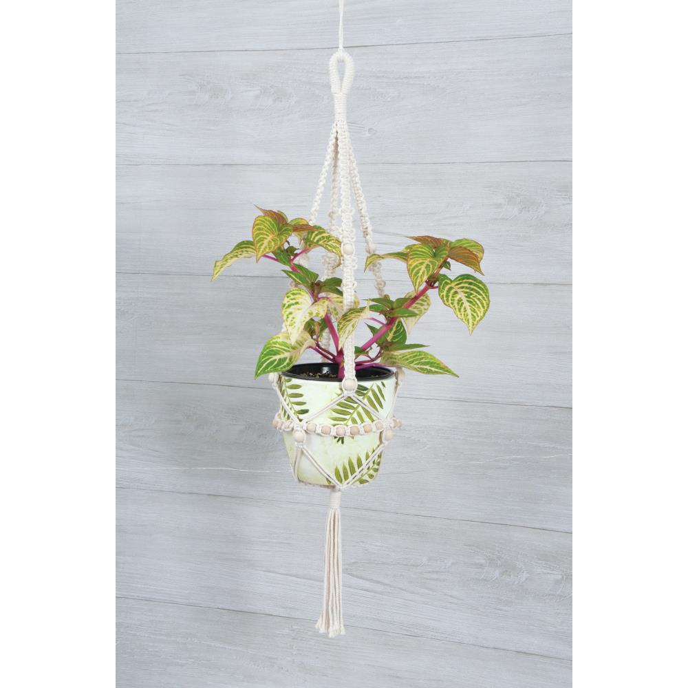 Solid Oak Macramé Hanging Kits - Paradise Fibers