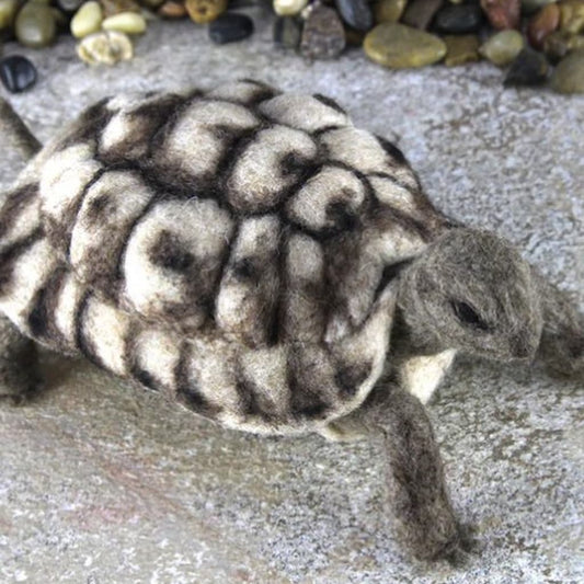 Toto the Tortoise Needle Felting Kit - Paradise Fibers