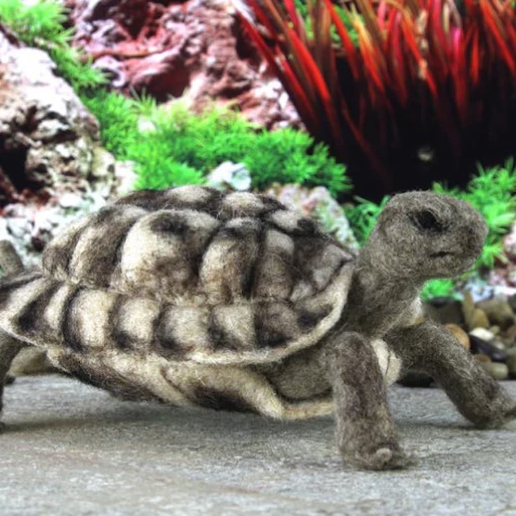 Toto the Tortoise Needle Felting Kit - Paradise Fibers