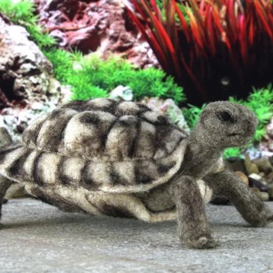 Toto the Tortoise Needle Felting Kit - Paradise Fibers