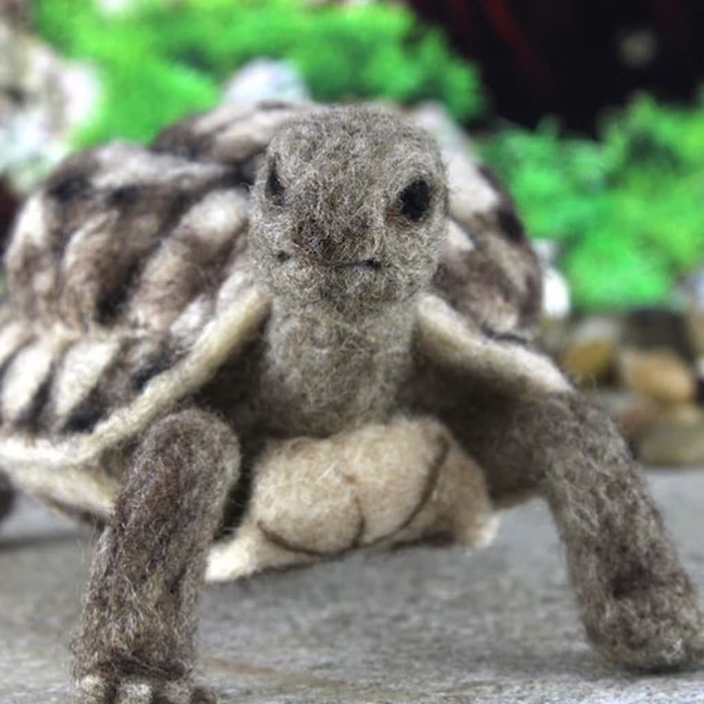 Toto the Tortoise Needle Felting Kit - Paradise Fibers