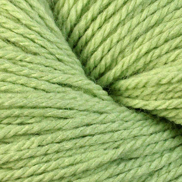 Berroco Vintage DK weight yarn in the color Kiwi 2124, a light spring green.
