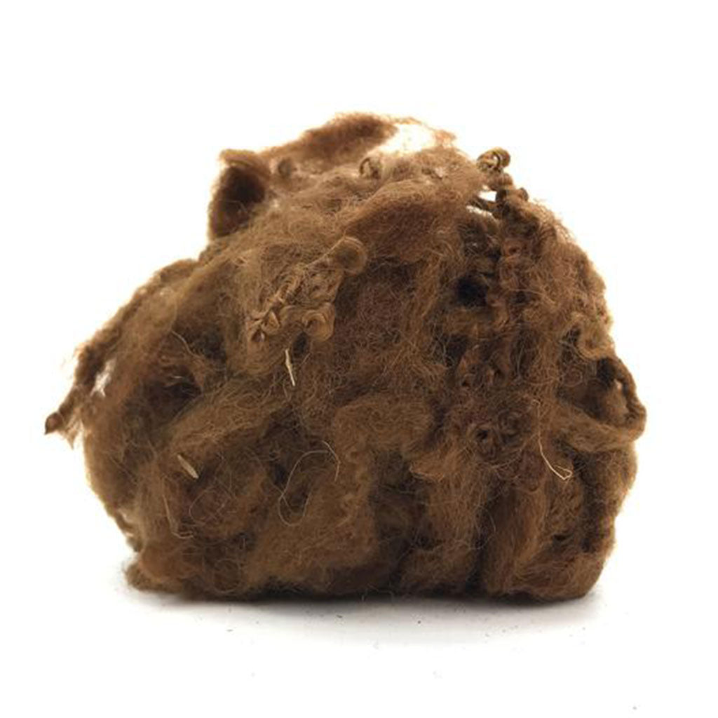 brown british longwool curly locks