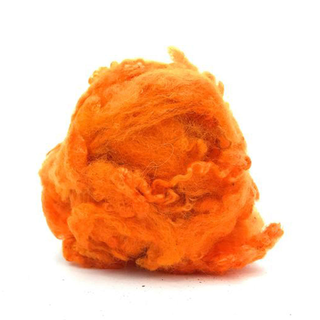 orange british longwool curly locks