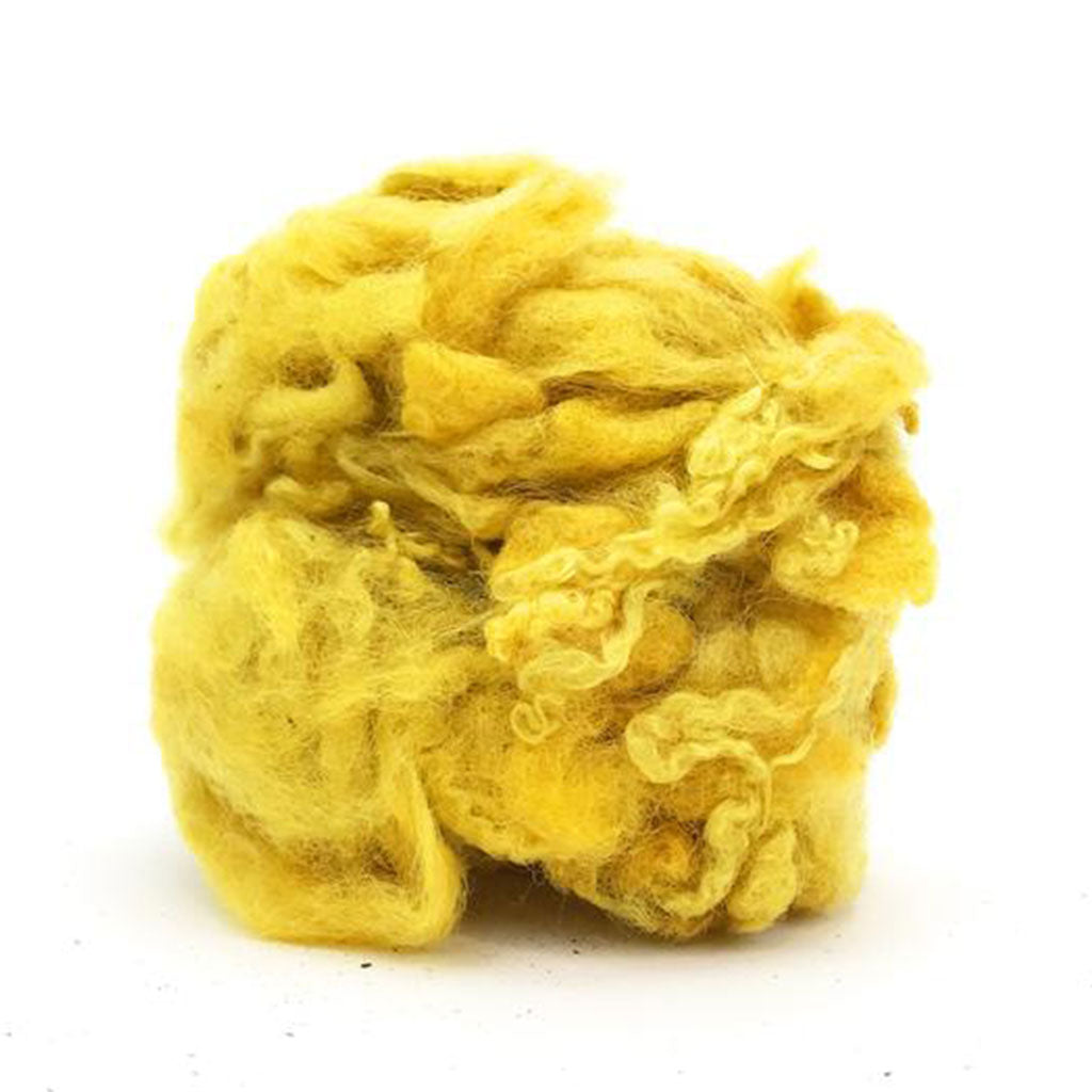 yellow british longwool curly locks