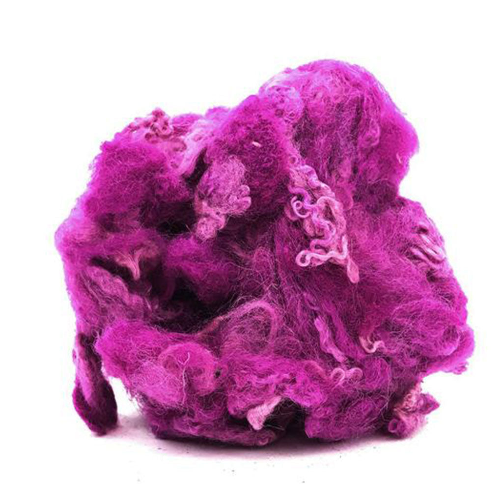 fuchsia british longwool curly locks