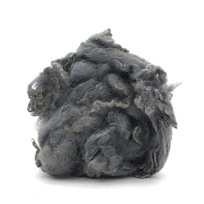 grey british longwool curly locks