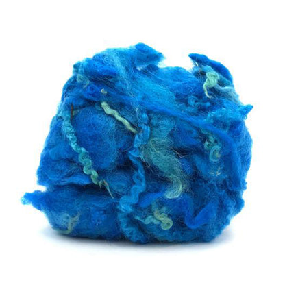 blue british longwool curly locks